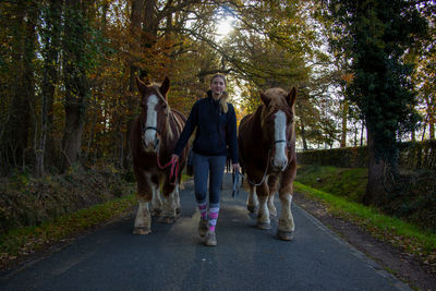 Horses on road amidst trees