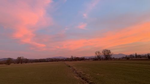 Scenic view of field against sky during sunset