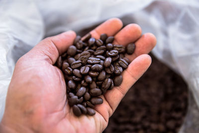 Close-up of hand holding coffee beans