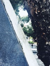 Road by trees against sky