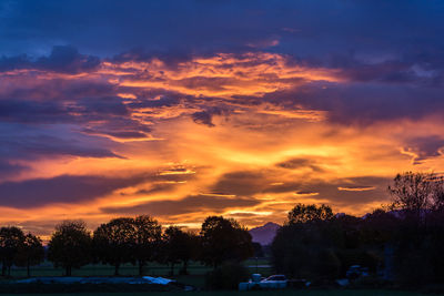 Silhouette trees on field against orange sky