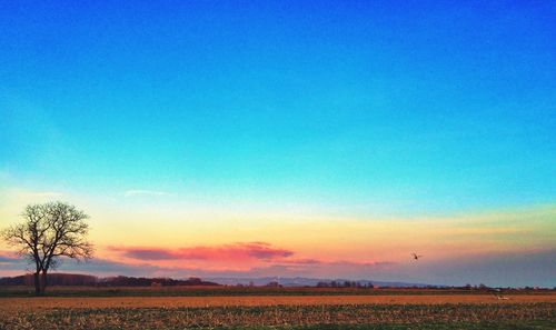 Scenic view of field against sky at sunset