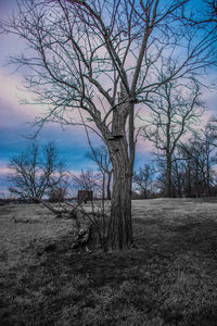 Bare tree on landscape against sky