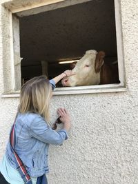 Full length of woman with hand in stable