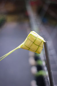 Close-up of yellow light bulb
