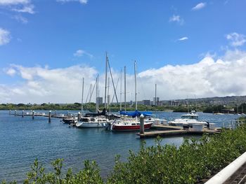 Sailboats moored at harbor against sky