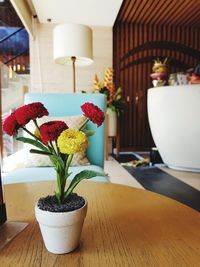 Close-up of potted plant on table