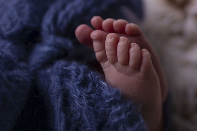 Low section of baby lying on bed