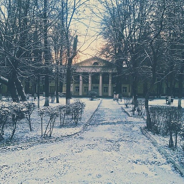 bare tree, tree, built structure, architecture, winter, building exterior, snow, cold temperature, season, branch, house, empty, covering, weather, bench, nature, tree trunk, absence, no people, outdoors