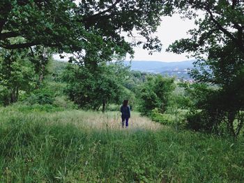 Scenic view of grassy landscape