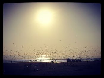 Birds flying over sea against clear sky