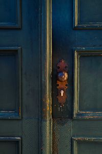 Dark green old wooden door