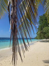 Maldives paradise 