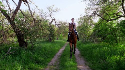 Spring, outdoors, girl rider, jockey riding on thoroughbred beautiful brown stallion, 