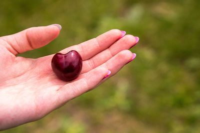 Close-up of hand holding strawberry