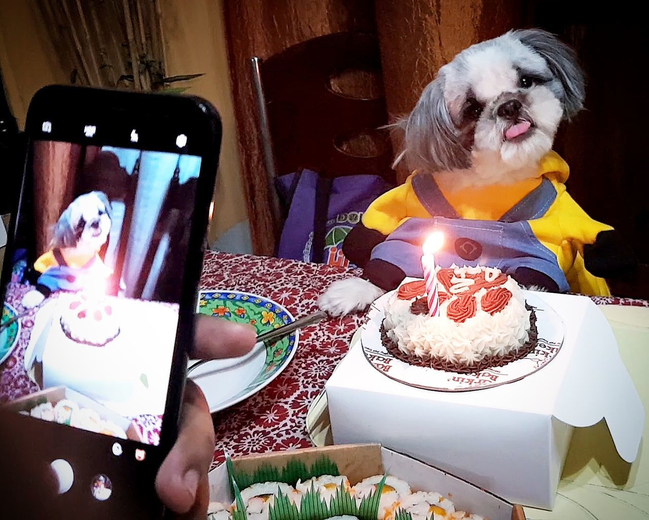 candle, table, birthday cake, cake, indoors, real people, birthday candles, burning, wireless technology, celebration, birthday, sweet food, communication, life events, dessert, technology, dog, illuminated, pets, one person, animal themes, day, food, close-up, freshness