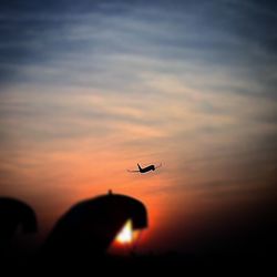 Airplane flying in sky at sunset