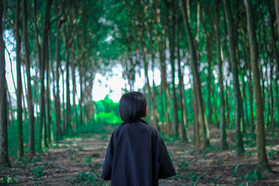 Rear view of a man walking in forest