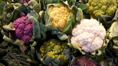 High angle view of fresh vegetables in market