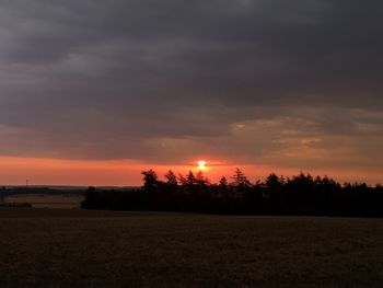 Silhouette trees on field against sky during sunset