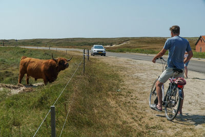 Horse cart on land