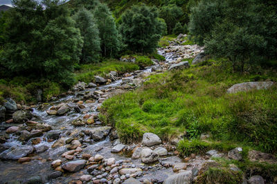 Stream flowing through rocks in forest