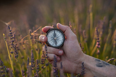 Midsection of person holding hand on grassy field