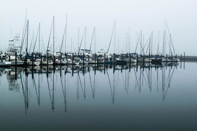 Sailboats moored in harbor against clear sky