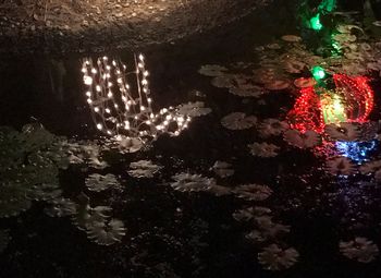 Close-up of illuminated christmas tree at night