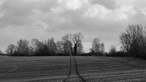 Bare trees on field against sky