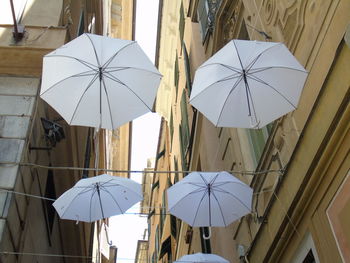 Umbrellas on wet umbrella against sky
