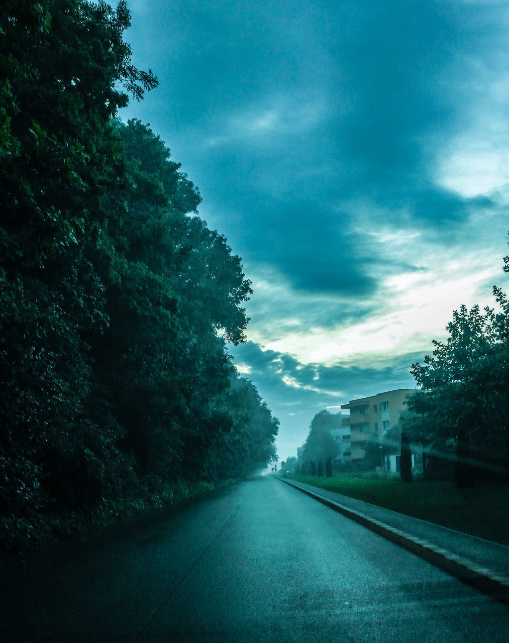 ROAD BY TREE AGAINST SKY