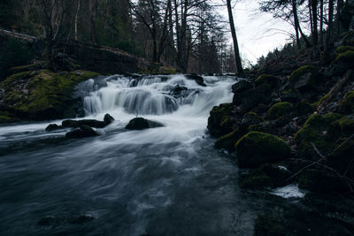 Scenic view of waterfall in forest against sky