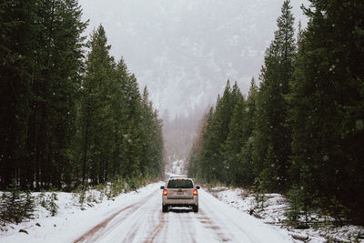 Car on road amidst trees in forest during winter