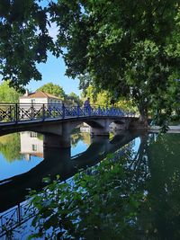 Bridge over river amidst trees