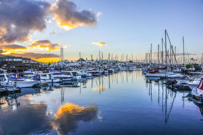 Sailboats moored in harbor at sunset