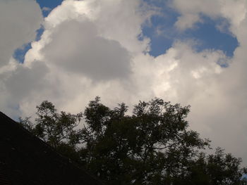 Low angle view of trees against sky