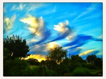 Low angle view of trees against cloudy sky