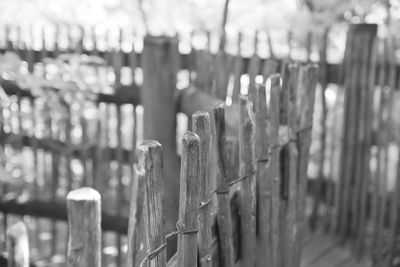 Close-up of fence against blurred background