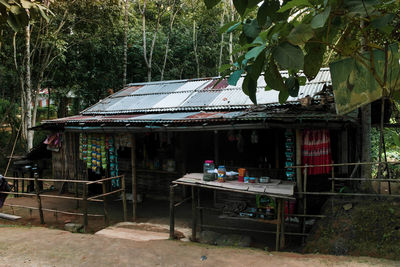 House by trees in forest