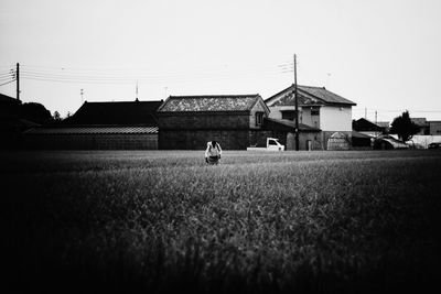 Houses on field