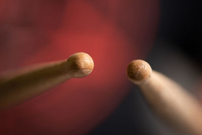 Close-up of hand holding wood