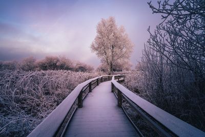 Scenic view of bridge against sky