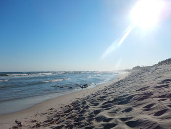 Scenic view of sandy beach