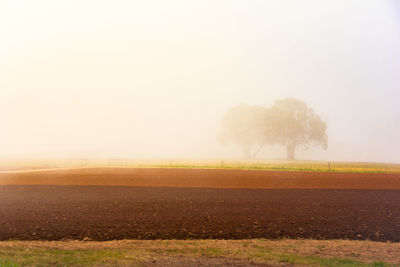 Scenic view of field against sky at foggy weather