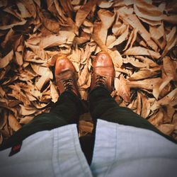leaf