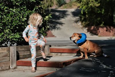 Boy with dog