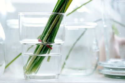 Vegetables in glass of water on table