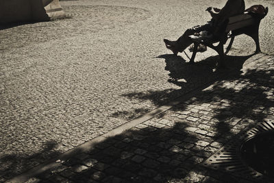 Low section of man shadow on tree