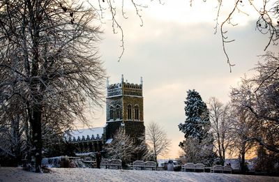 Bare trees and buildings against cloudy sky